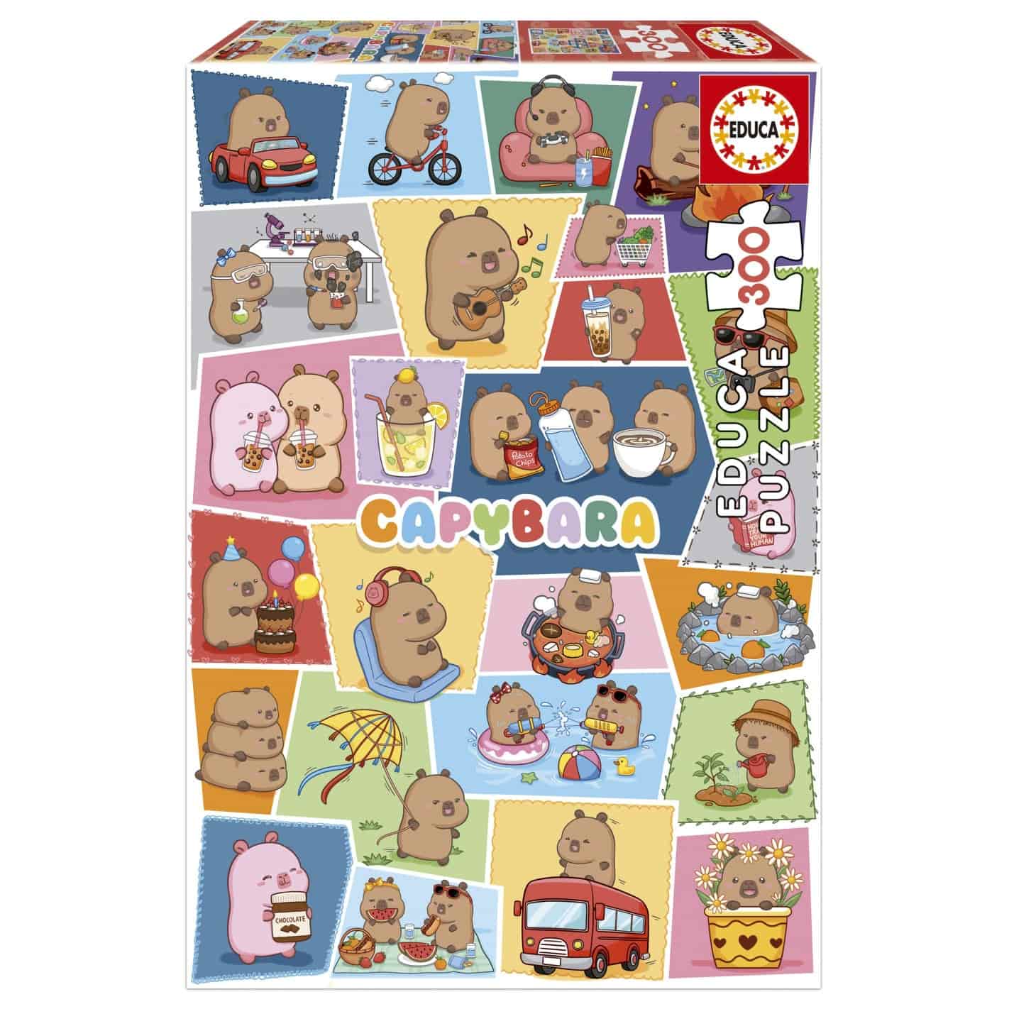 Educa 300 Capyfun Fsc(R)