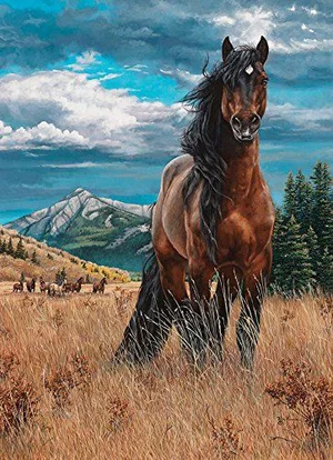 1000 Pc Puzzle Freedom (Horse)