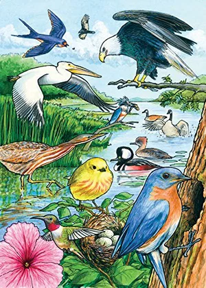 Puzzle Tray North American Birds 35 pc