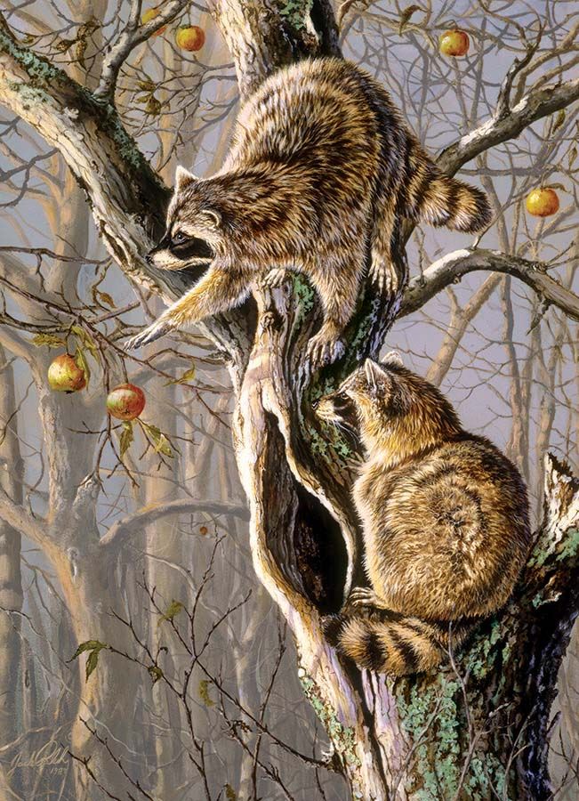 Product 654-1892 - View 2 654-1892 Product Image 2