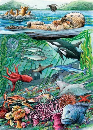 Puzzle Tray Life on the Pacific Ocean