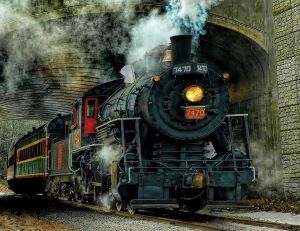 500 Pc Puzzle - Train Green Mountain Express