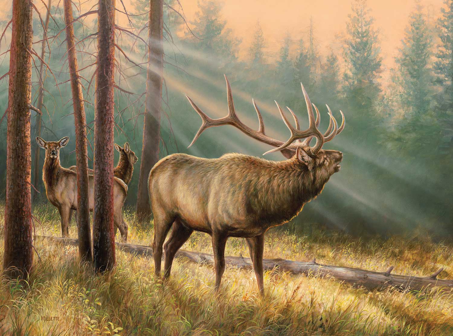 Product 654-2032 - View 1 654-2032 Product Image 1