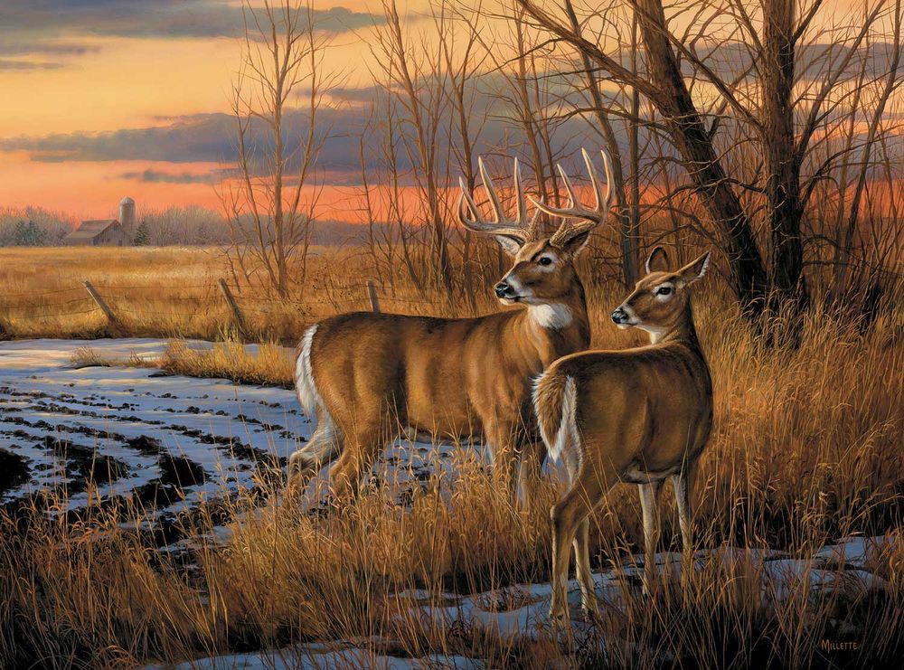 654-2035 Product Image 1