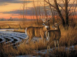 Puzzle Daybreak 1000 Pc.