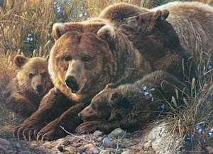 Puzzle Grizzly Family (Family Pieces) 350 pc