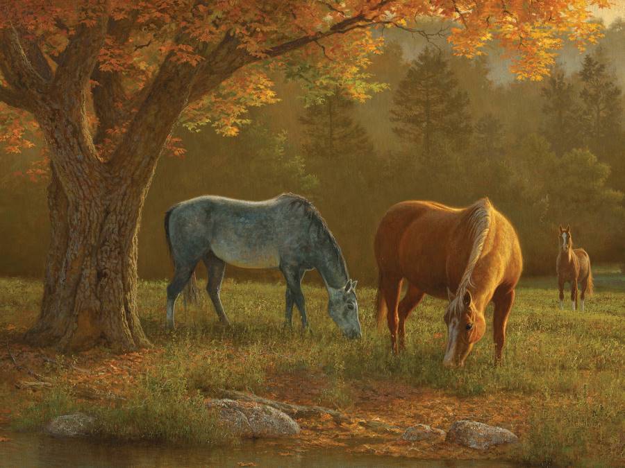 Product 654-2104 - View 1 654-2104 Product Image 1