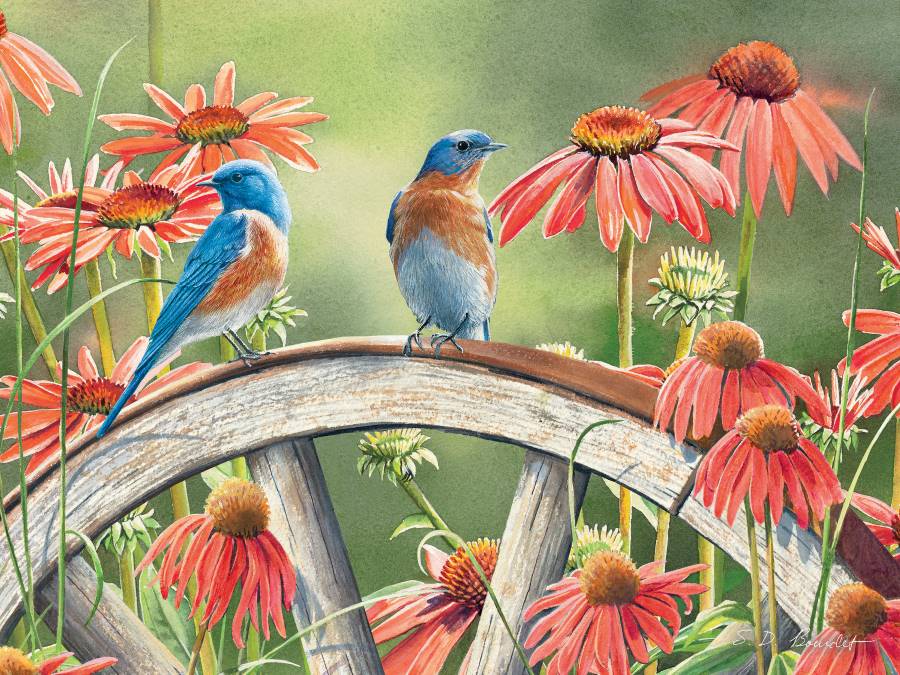 654-2111 Product Image 1