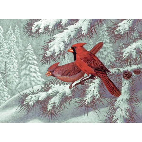 658-0347 Product Image 1