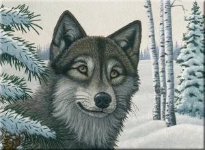 Paint By Number Junior Large Snow Wolf