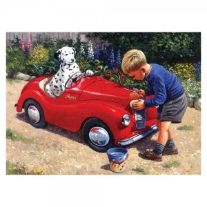 Paint by Numbers | Junior Large Spot's Car Wash
