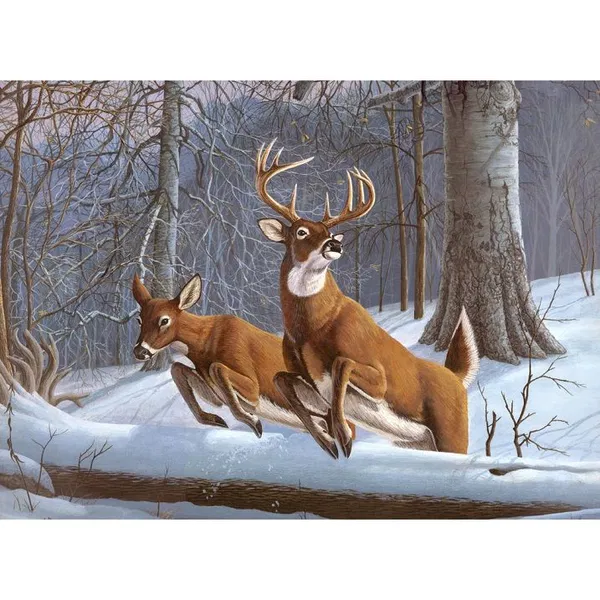658-0355 Product Image 1