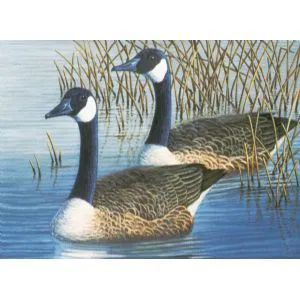 658-0358 Product Image 1