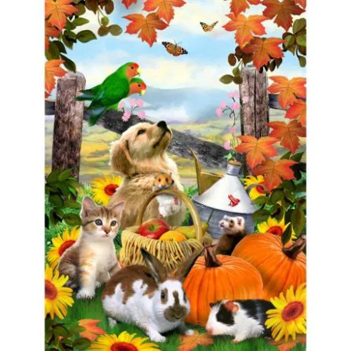 658-0362 Product Image 2