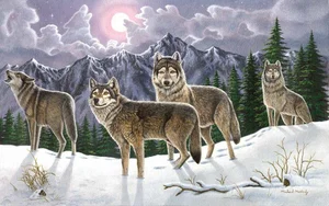 Paint by Numbers | Wolves