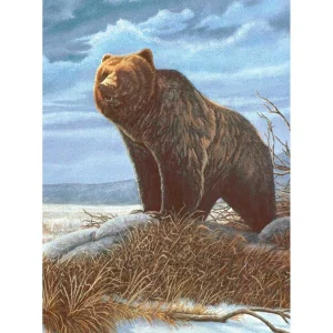 Paint by Numbers | Grizzly Bear