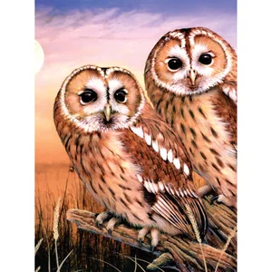 Paint By Number Junior Small Tawny Owls