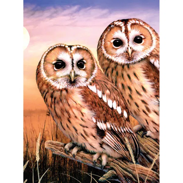 658-0369 Product Image 1