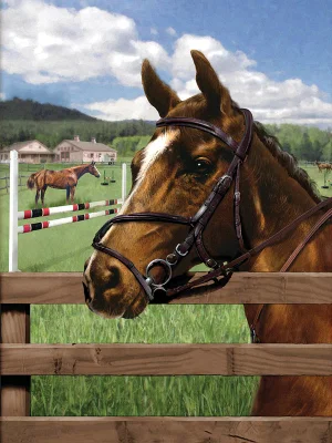 Paint by Number Equine Paddock