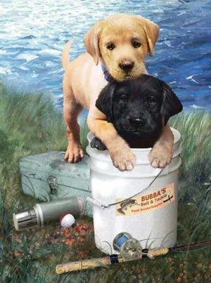 Paint by Number | Fishin' Buddies