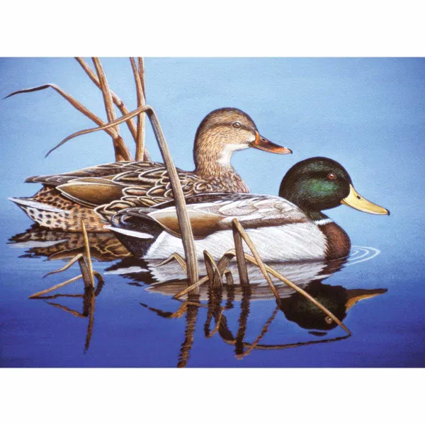 658-0454 Product Image 1