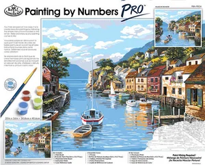Paint by Number Pro Village on the Water