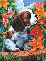 Paint by Number Small Canvas Puppy & Flowers
