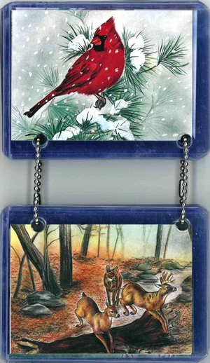 Flip Cards on Ring Animals