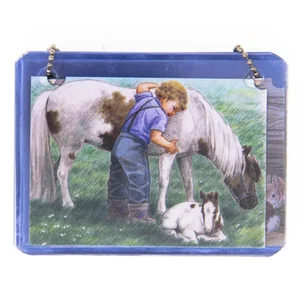 Flip Cards on Ring Children & Animals