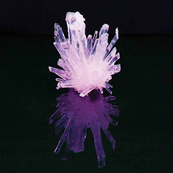 660-0405 Product Image 4