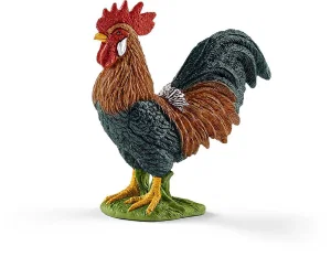Rooster