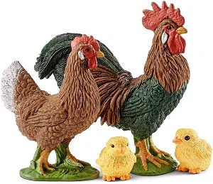 Hen