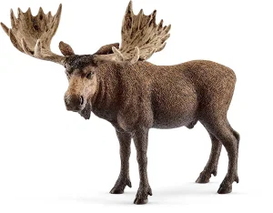 Moose Bull