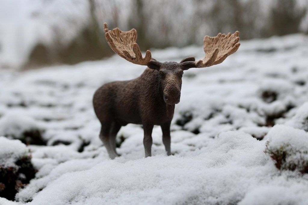 660-0752 Product Image 6