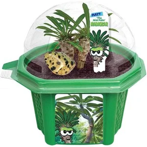 Matt the Madagascar Mini Palm Micro Dome