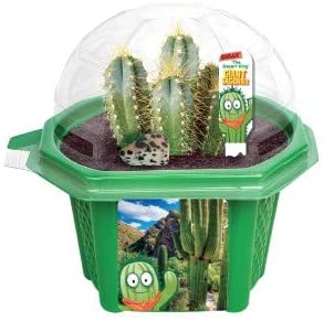 Sully the Desert King Giant Saguaro Micro Dome