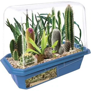 Desert Plant Collection - Miniature World