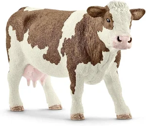 Simmental Cow
