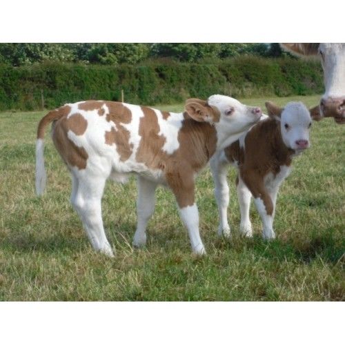 660-1382 Product Image 4