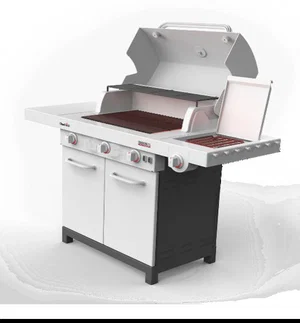 Barbecue Kids Set