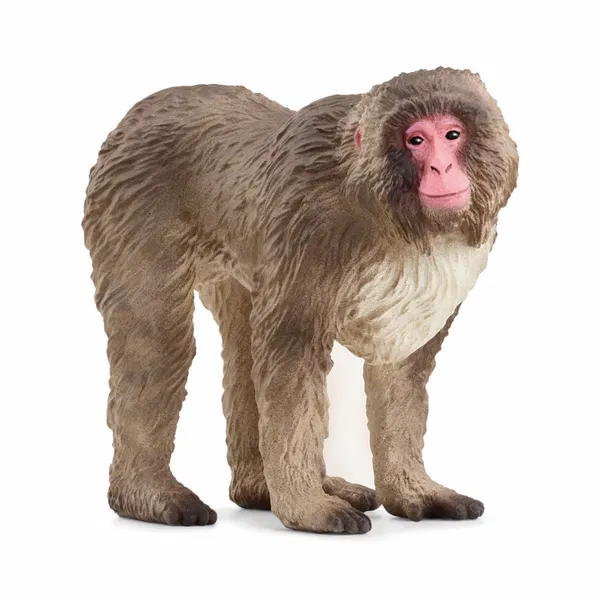 660-2181 Product Image 1