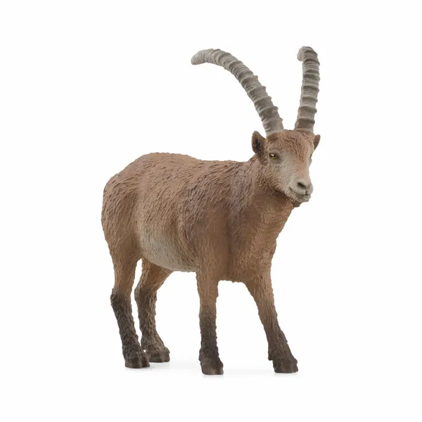 660-2183 Product Image 1