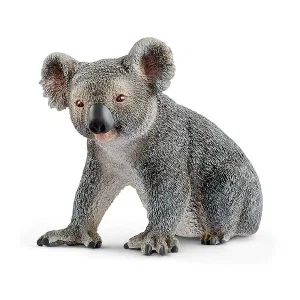 Koala Bear