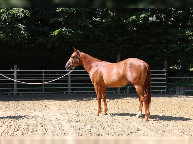 660-2284 Product Image 5