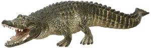 Alligator