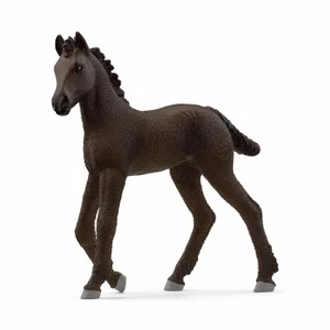 Fresian Foal