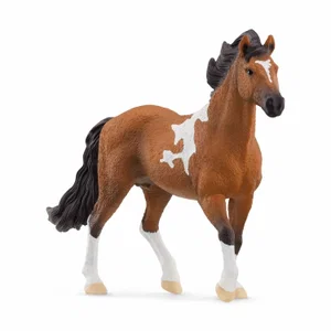 Mangalarga Marchador Stallion