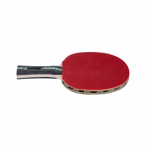 Table Tennis Paddle Procore