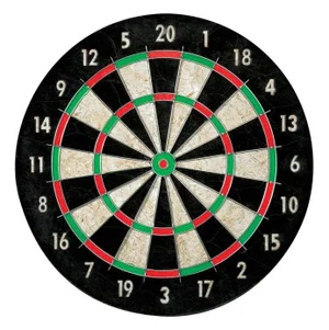 Pro Wire Bristle Dartboard