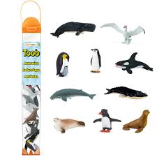 Toob Antarctica